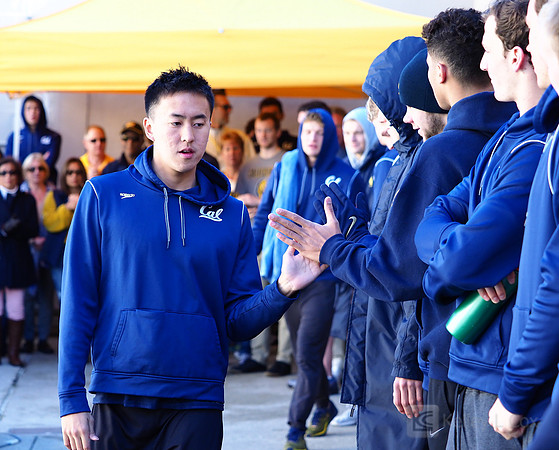 Swimming: California Golden Bears vs Arizona Wildcats