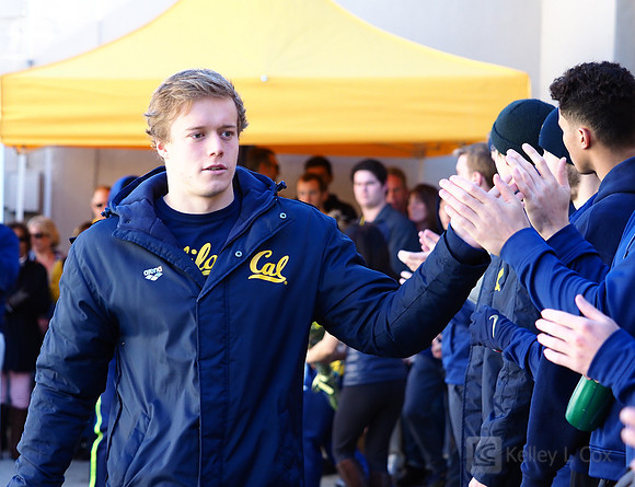 Swimming: California Golden Bears vs Arizona Wildcats