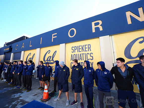 Swimming: California Golden Bears vs Arizona Wildcats