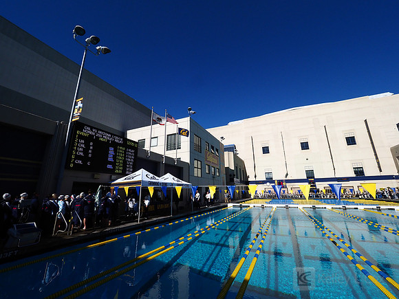 Swimming: California Golden Bears vs Arizona Wildcats