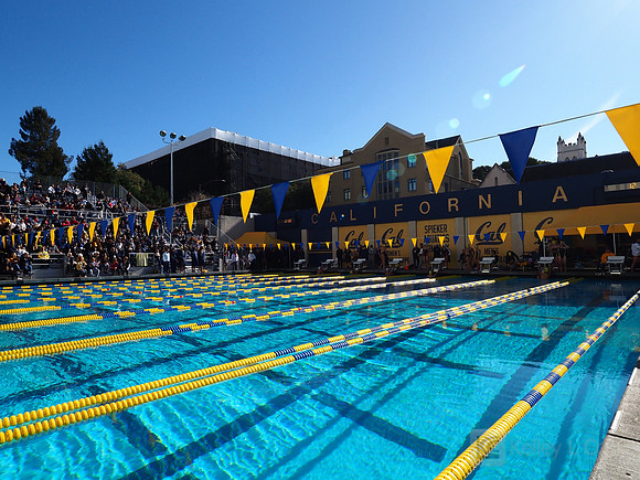 Swimming: California Golden Bears vs Arizona Wildcats