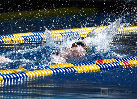Swimming: California Golden Bears vs Arizona Wildcats