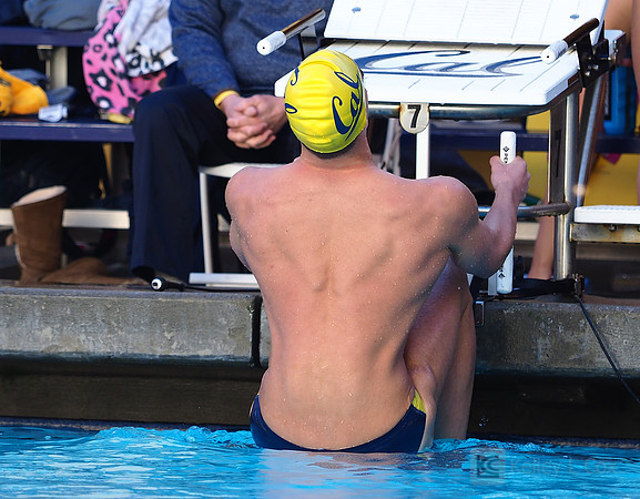 Swimming: California Golden Bears vs Arizona Wildcats