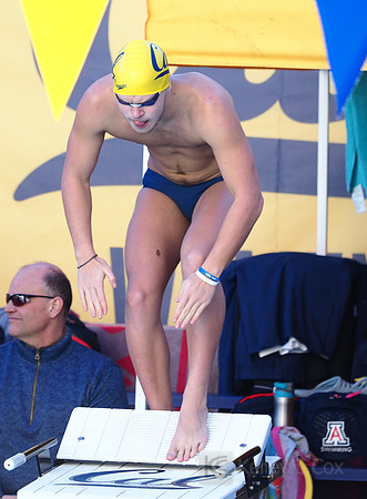Swimming: California Golden Bears vs Arizona Wildcats