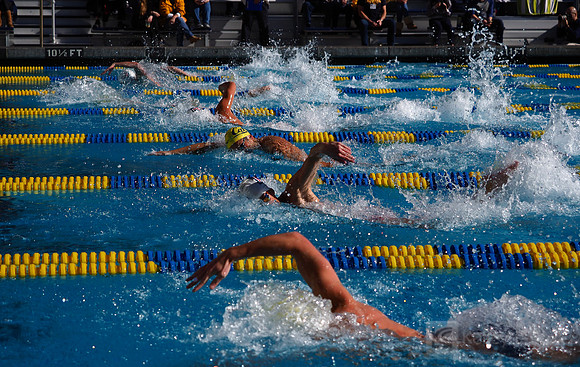 Swimming: California Golden Bears vs Arizona Wildcats