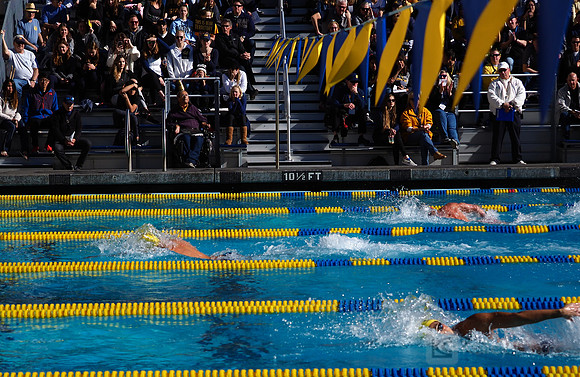 Swimming: California Golden Bears vs Arizona Wildcats