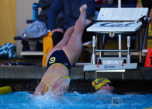 Swimming: California Golden Bears vs Arizona Wildcats