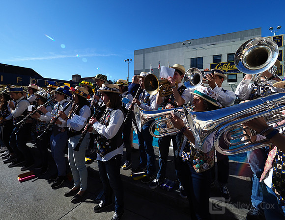 Cal Band