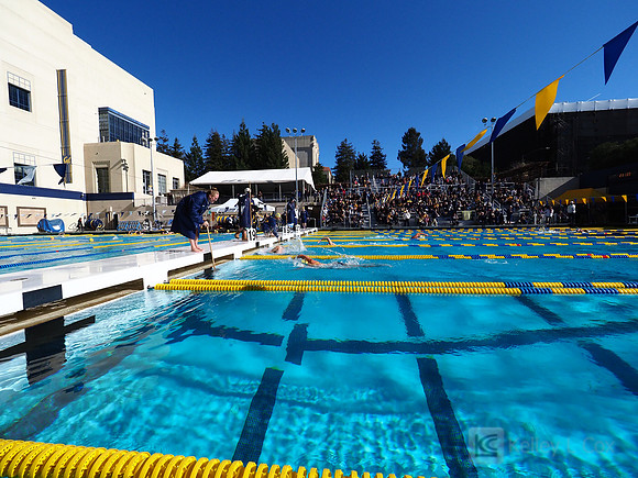 Swimming: California Golden Bears vs Arizona Wildcats