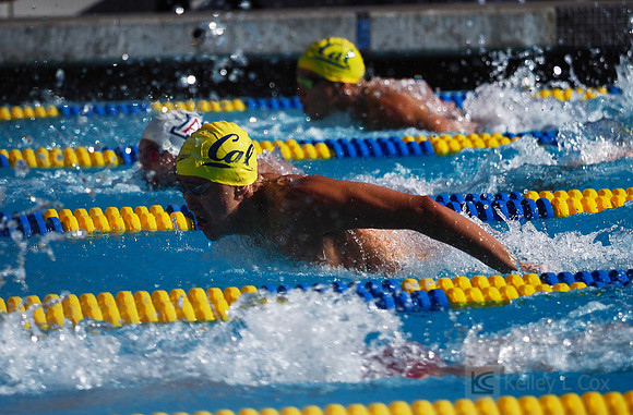 Zheng Wen Quah