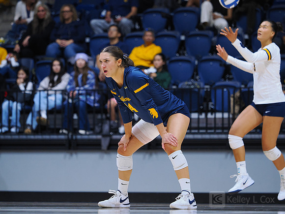 Volleyball: California Golden Bears vs Notre Dame Fighting Irish