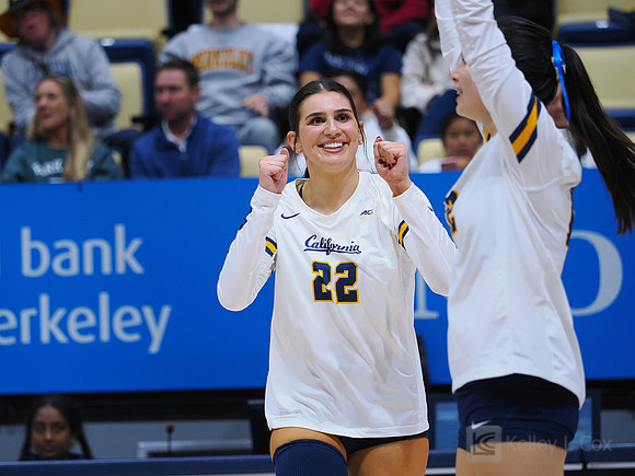 Volleyball: California Golden Bears vs Notre Dame Fighting Irish