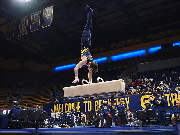 Men’s Gymnastics: California Golden Bears vs Stanford Cardinal
