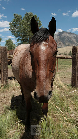 Wyoming