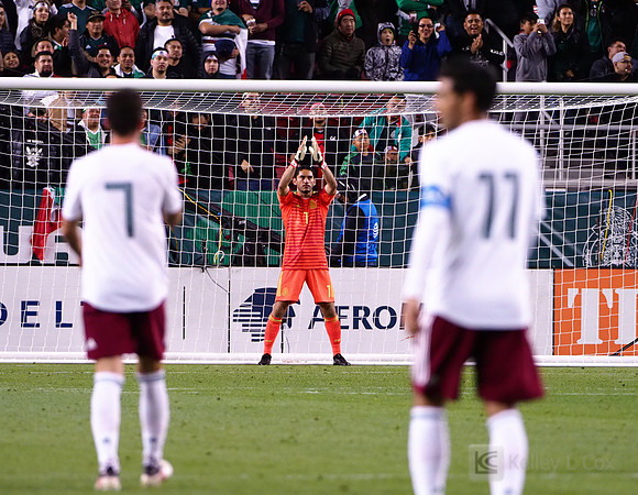 Soccer: Mexico vs Iceland