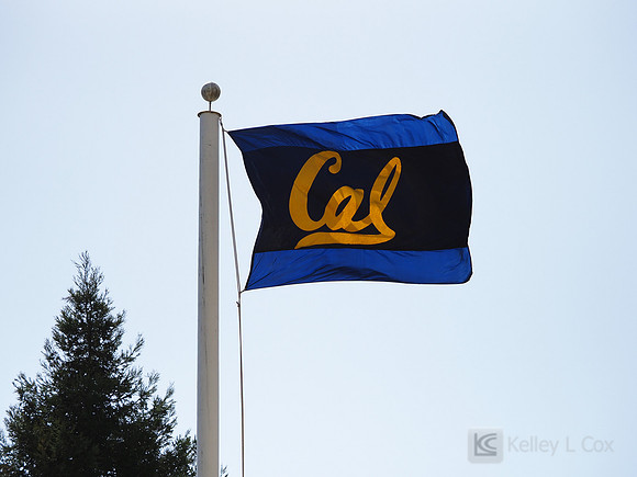 Cal Flag