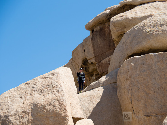 Joshua Tree National Park
