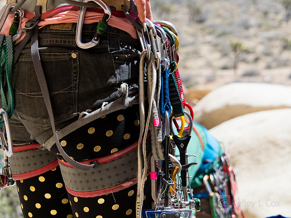Joshua Tree National Park