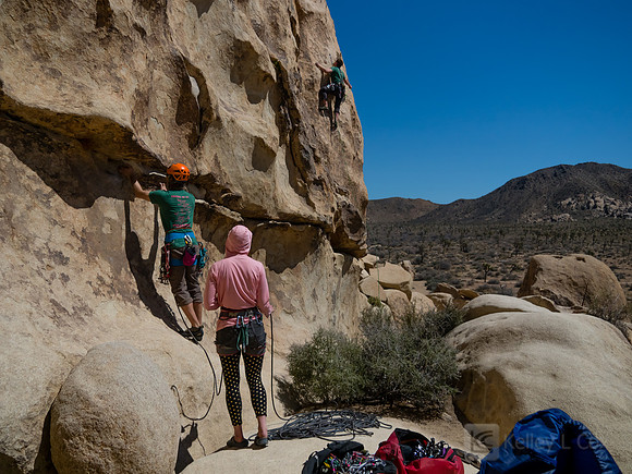 Joshua Tree National Park