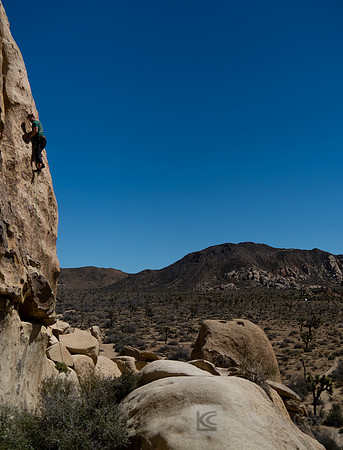 Joshua Tree National Park