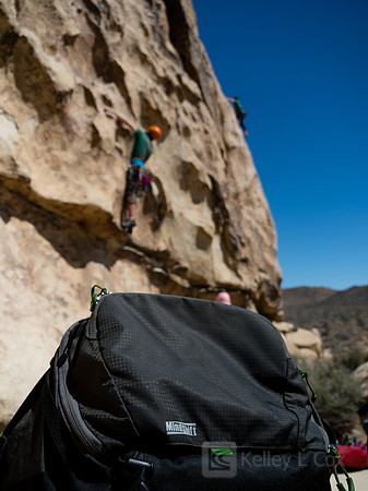 Joshua Tree National Park