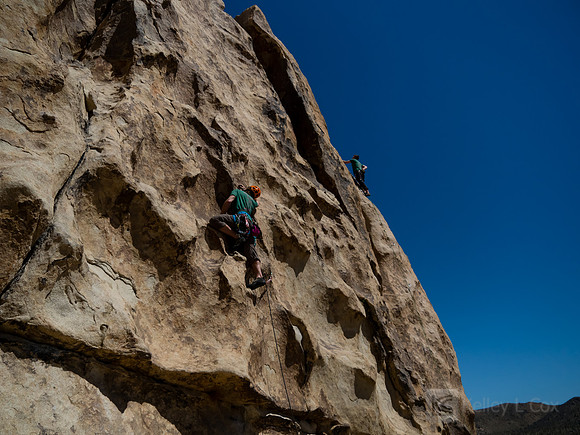 Joshua Tree National Park