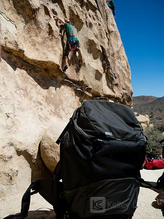 Joshua Tree National Park