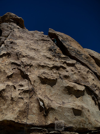 Joshua Tree National Park