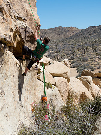 Joshua Tree National Park