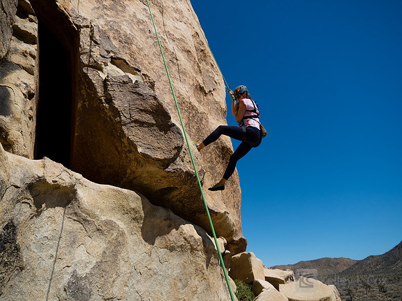 Joshua Tree National Park