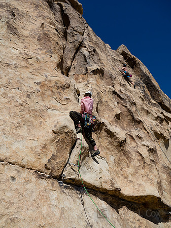 Joshua Tree National Park