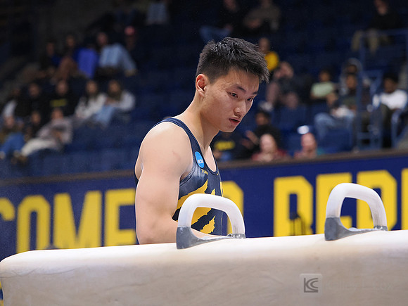Men’s Gymnastics: California Golden Bears vs Stanford Cardinal