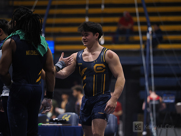 Men’s Gymnastics: California Golden Bears vs Stanford Cardinal