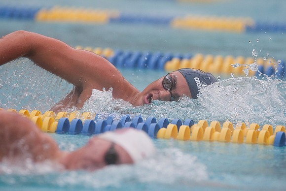 Cal Men's Swimming vs Stanford