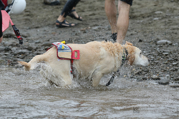SONC: Polar Plunge Sacramento