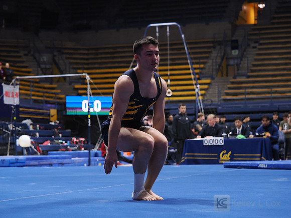 Men’s Gymnastics: California Golden Bears vs Stanford Cardinal