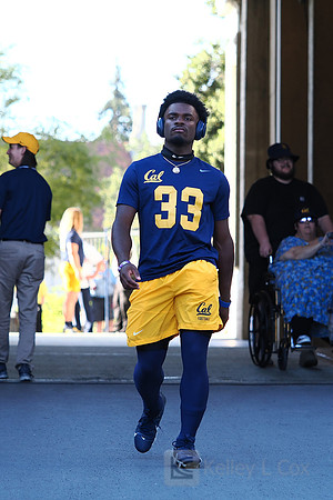 Dean-Taylor Chapman (33)