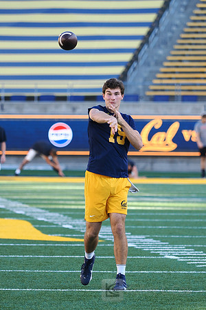 Fernando Mendoza (15)