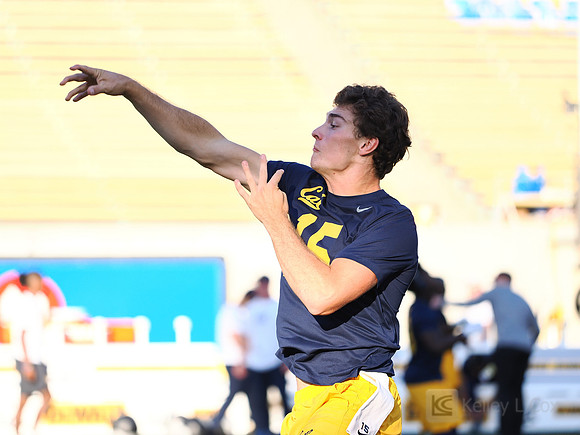 Fernando Mendoza (15)
