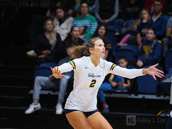 Volleyball: California Golden Bears vs Notre Dame Fighting Irish