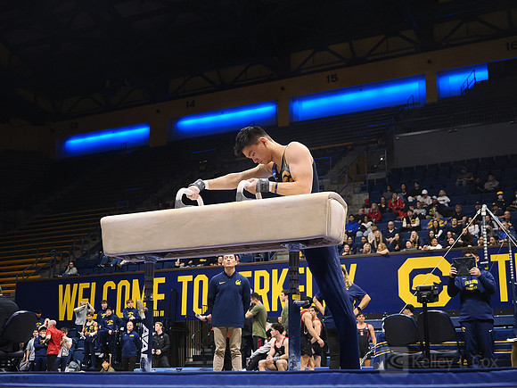Men’s Gymnastics: California Golden Bears vs Stanford Cardinal
