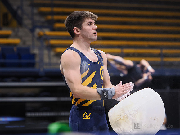 Men’s Gymnastics: California Golden Bears vs Stanford Cardinal