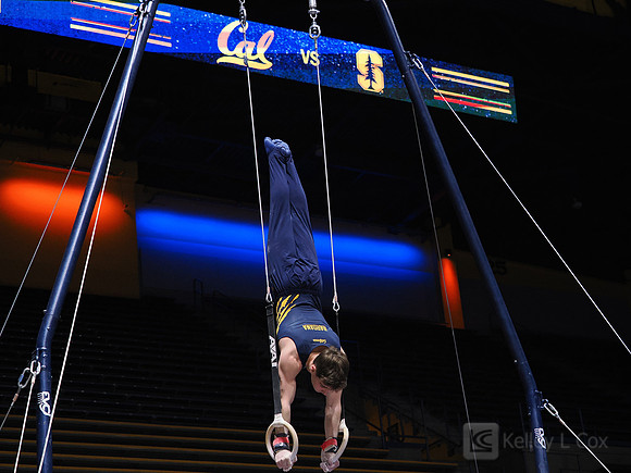 Men’s Gymnastics: California Golden Bears vs Stanford Cardinal