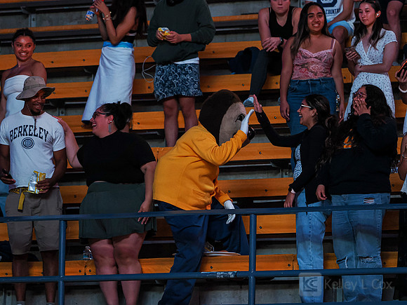 Late Night at Haas