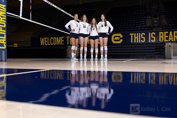 Women’s Volleyball: California Golden Bears