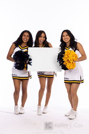 Spirit: California Golden Bears Cheer