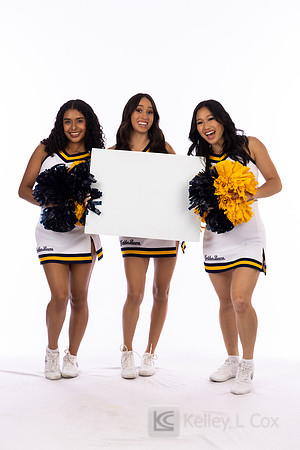 Spirit: California Golden Bears Cheer