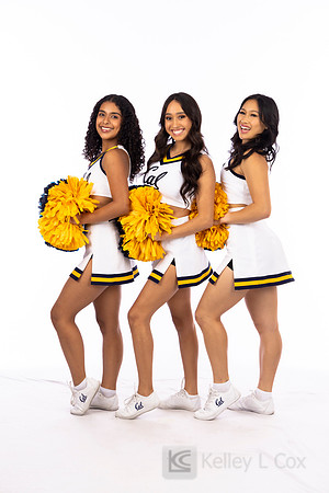 Spirit: California Golden Bears Cheer