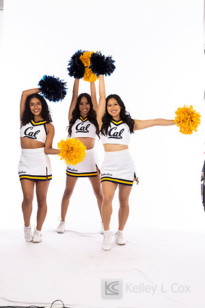 Spirit: California Golden Bears Cheer