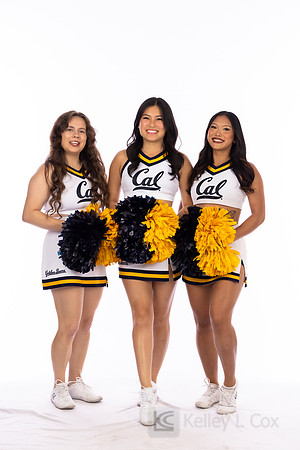 Spirit: California Golden Bears Cheer
